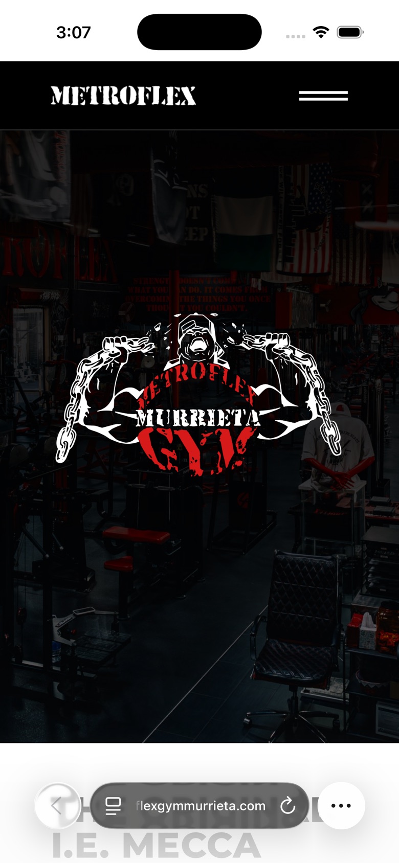 Metroflex Gym Murrieta website before, on a phone